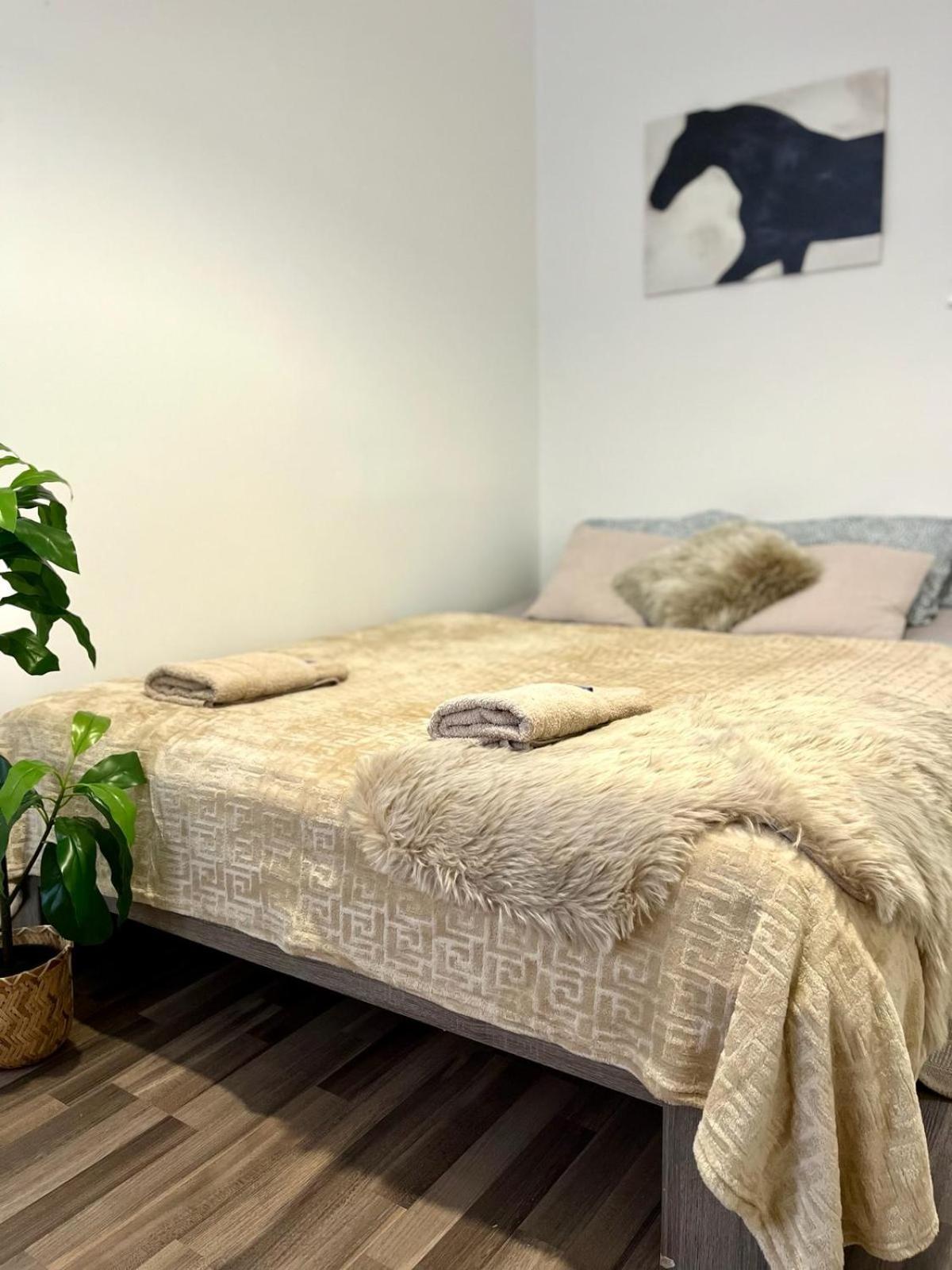 Apartment Adele - Old Town Bratislava Esterno foto